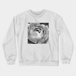 Painted Rose 2 Crewneck Sweatshirt